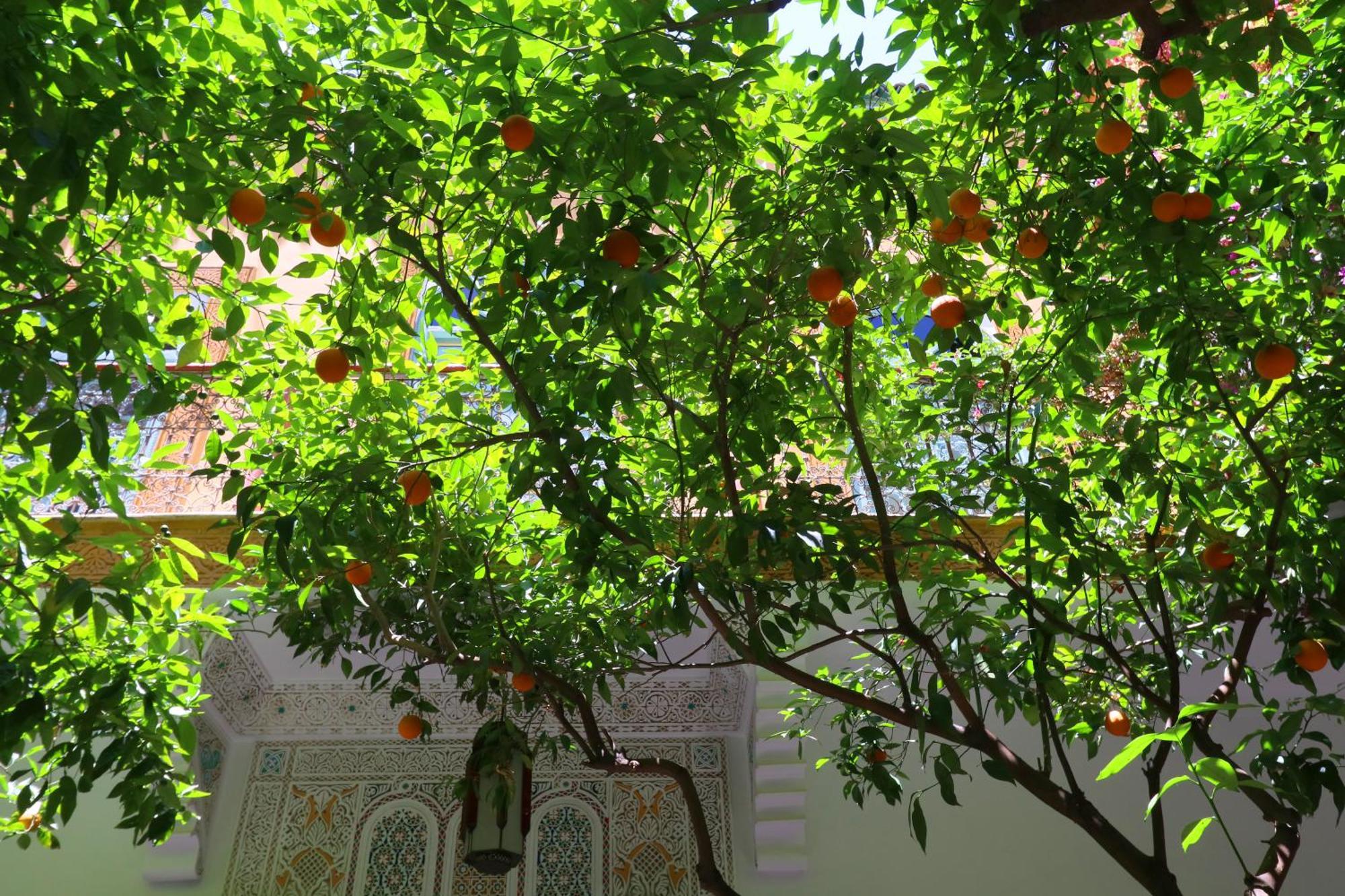 Ryad El Borj Marraquexe Exterior foto